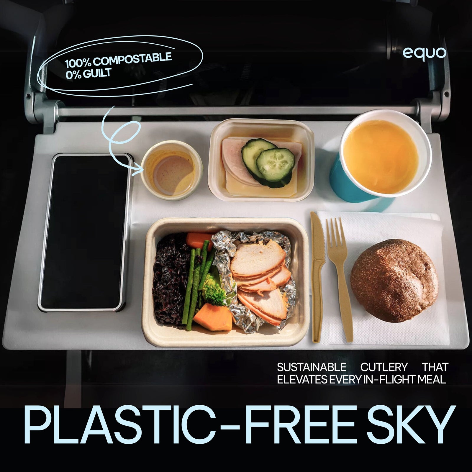 Can Airlines Be Sustainable? What’s Happening in 2025