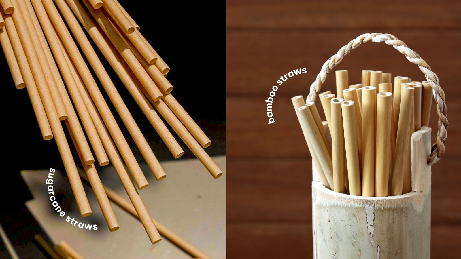 Sugarcane vs. Bamboo Straws: Differences, Advantages, and Disadvantages