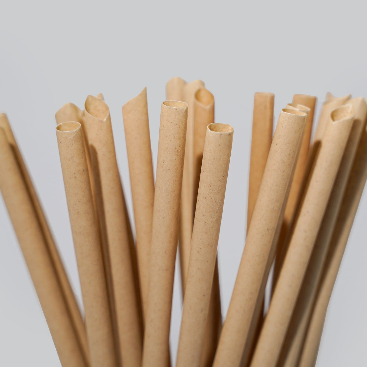 Sugarcane Drinking Straws (Wholesale/Bulk), Standard Size - 1000 count - EQUO