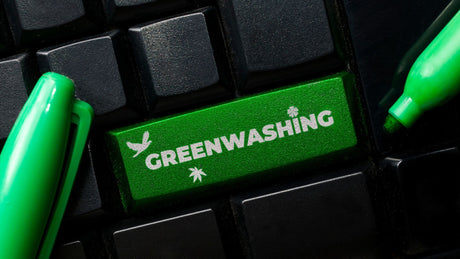 Làm Sao Để Nhận Diện “Greenwashing” Trong Các Chiến Dịch Marketing Mùa Lễ