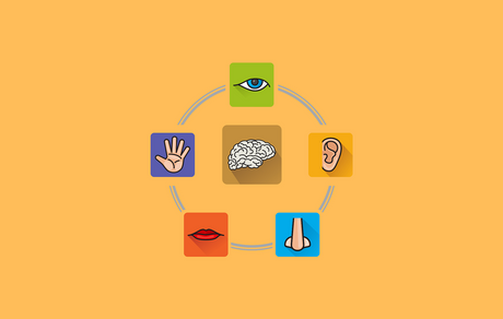 Sensory Branding: Why the "Feel" of Your Gift is Your Brand’s New Secret Weapon