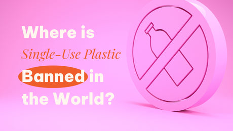 Where is Single-Use Plastic Banned in the World?