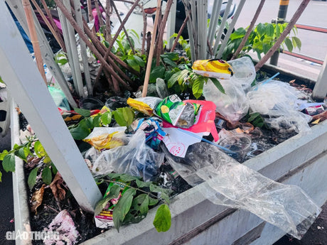 Plastic Waste After Tet: Why Holiday Traditions Need a Green Upgrade