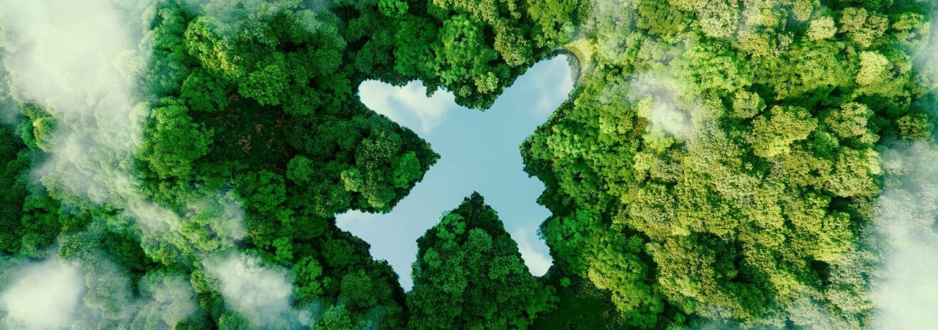 Plastic-Free Travel Tips for a Cleaner Summer Vacation