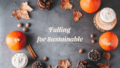 Falling for Sustainability: How to Make Small Changes This Autumn