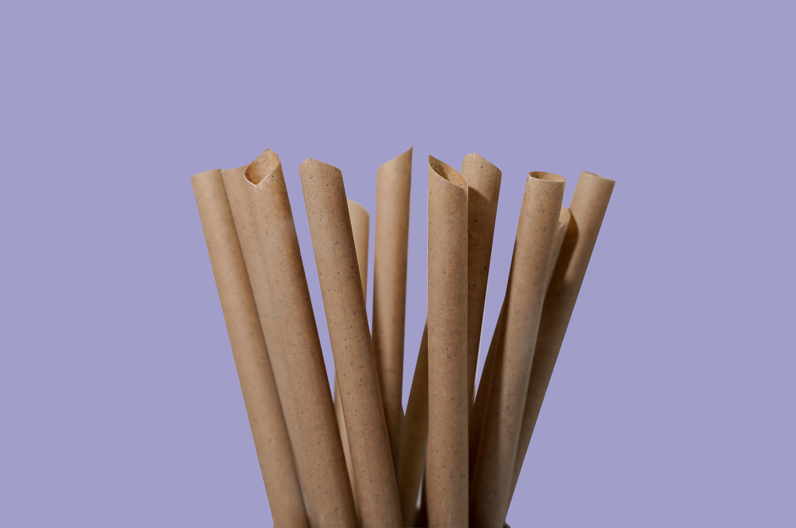 Plastic Straw Alternatives: Which Option Is Best in 2026?