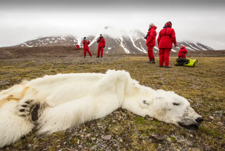 Climate Change is Real: The Hard Evidence You Can't Ignore