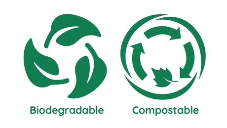 Compostable vs. Biodegradable: Definitions, Differences, And Applications In Environmental Protection