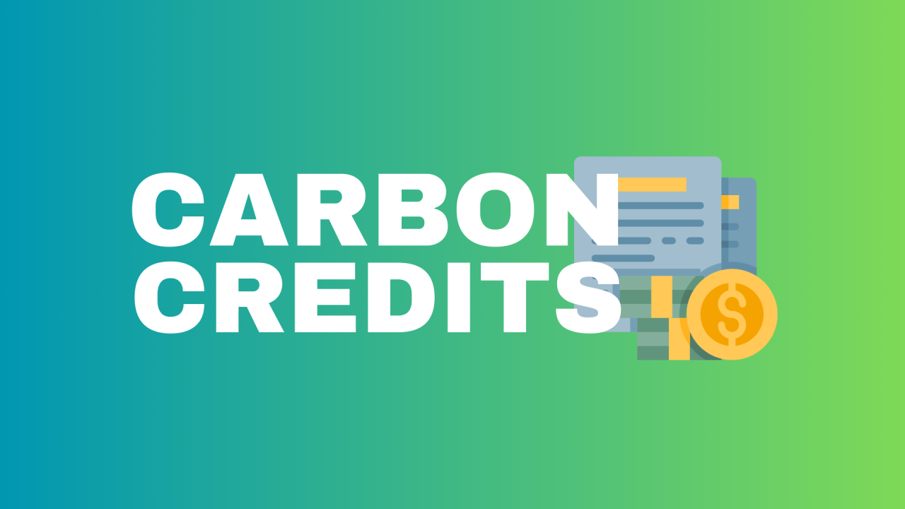 Carbon Credits: A Solution To Climate Change, The Key To Unlocking A Green Economy