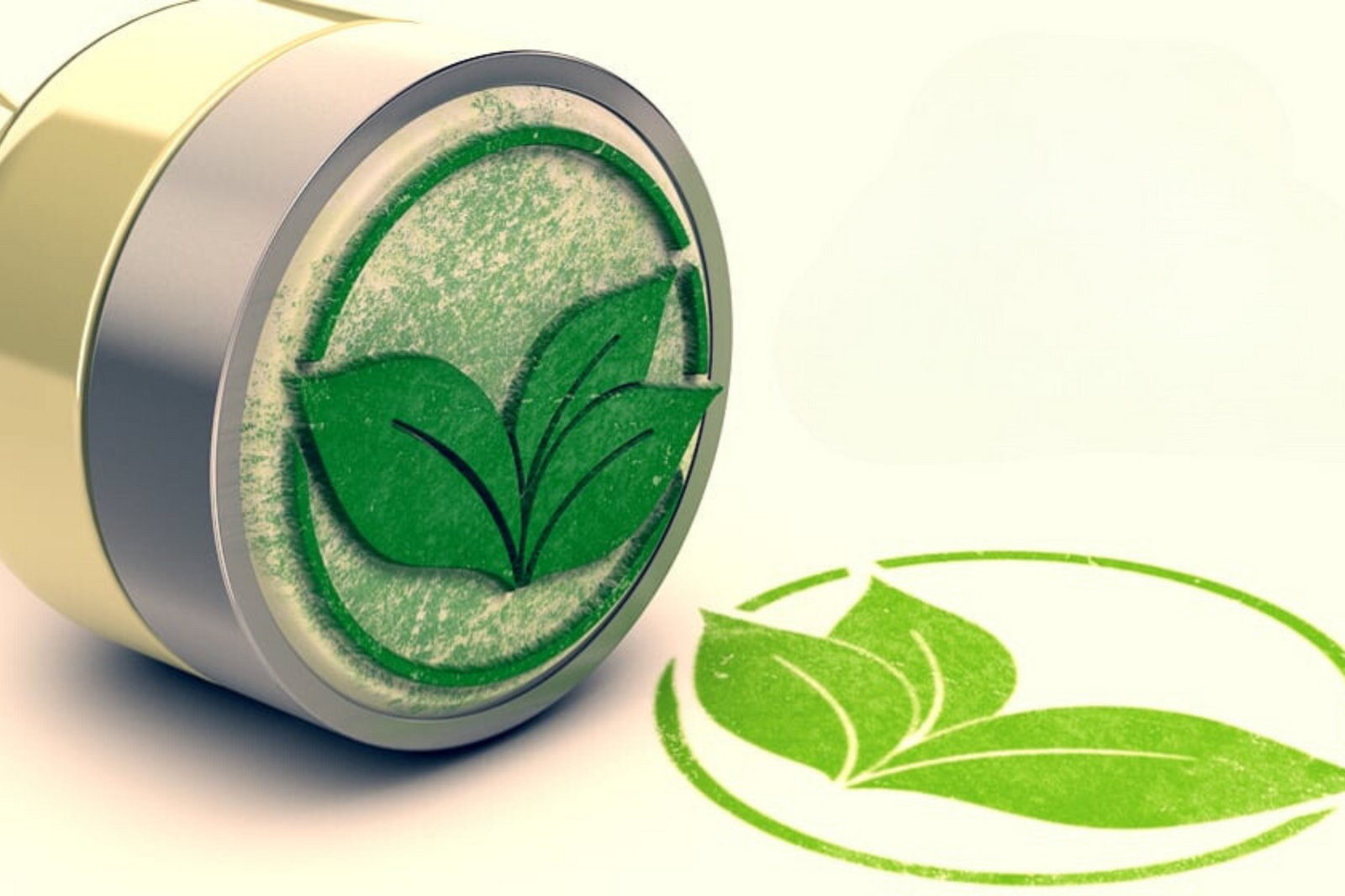 8 Sustainability Certifications For Green Businesses