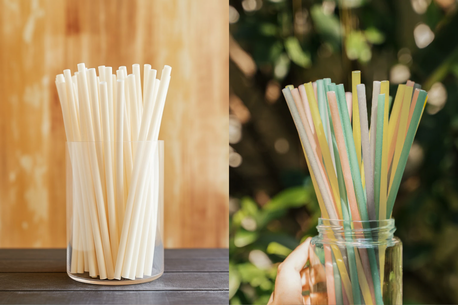 PLA Biodegradable Straws vs. Home Compostable Straws: Which Is The Better Choice?