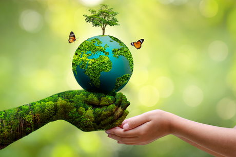 When Is World Environment Day? History, Significance, and 2024 Theme