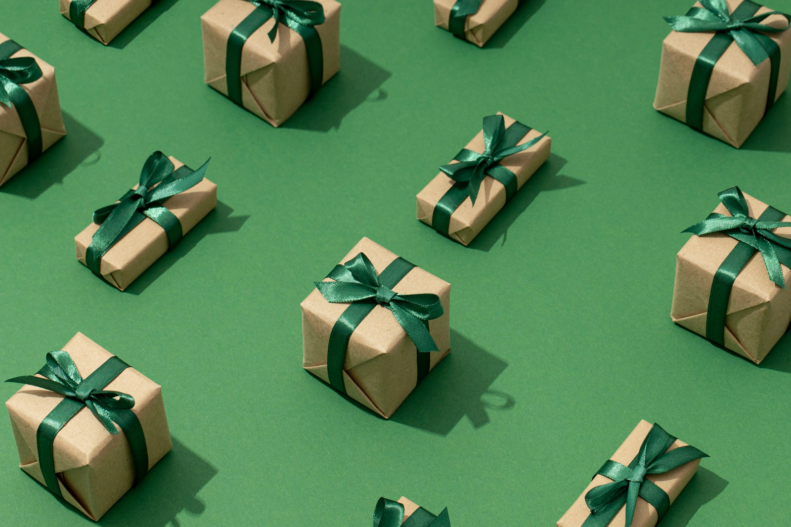 10+ Environmentally Friendly Gifts For Green Lifestyle Lovers