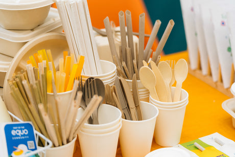 Eco-Friendly Disposable Tableware for Large Events: What You Need to Know