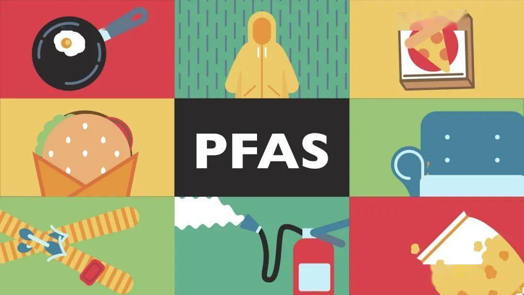 PFAS Là Gì? Phân Loại, Nguy Cơ Của PFAS Với Sức Khỏe, Môi Trường