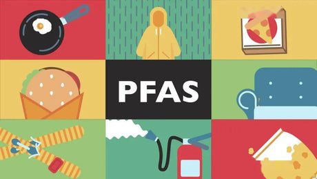 PFAS Là Gì? Phân Loại, Nguy Cơ Của PFAS Với Sức Khỏe, Môi Trường