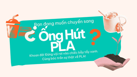 Khám Phá Sự Thật Về Ống Hút PLA: Chúng Có Thực Sự Thân Thiện Với Môi Trường?