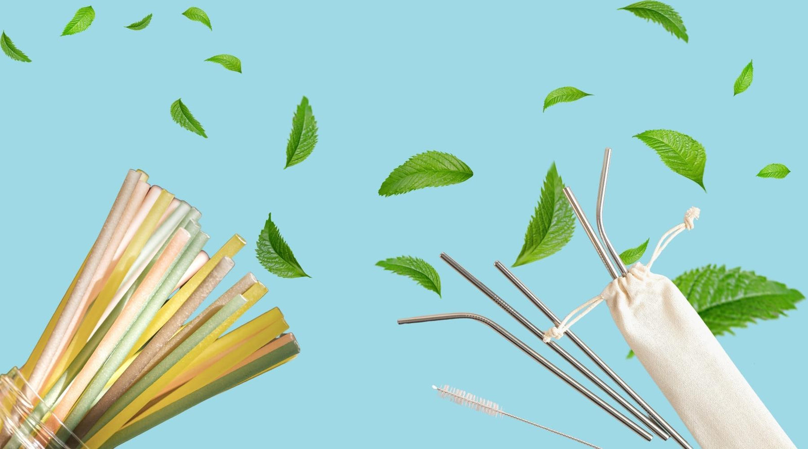 Compostable Vs. Reusable Straws: Which One Is The Best Eco-Friendly Alternative