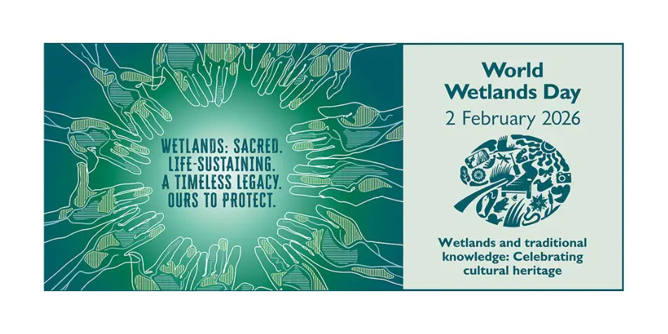 World Wetlands Day 2026: Why Reducing Plastic Waste Protects Coastal Ecosystems