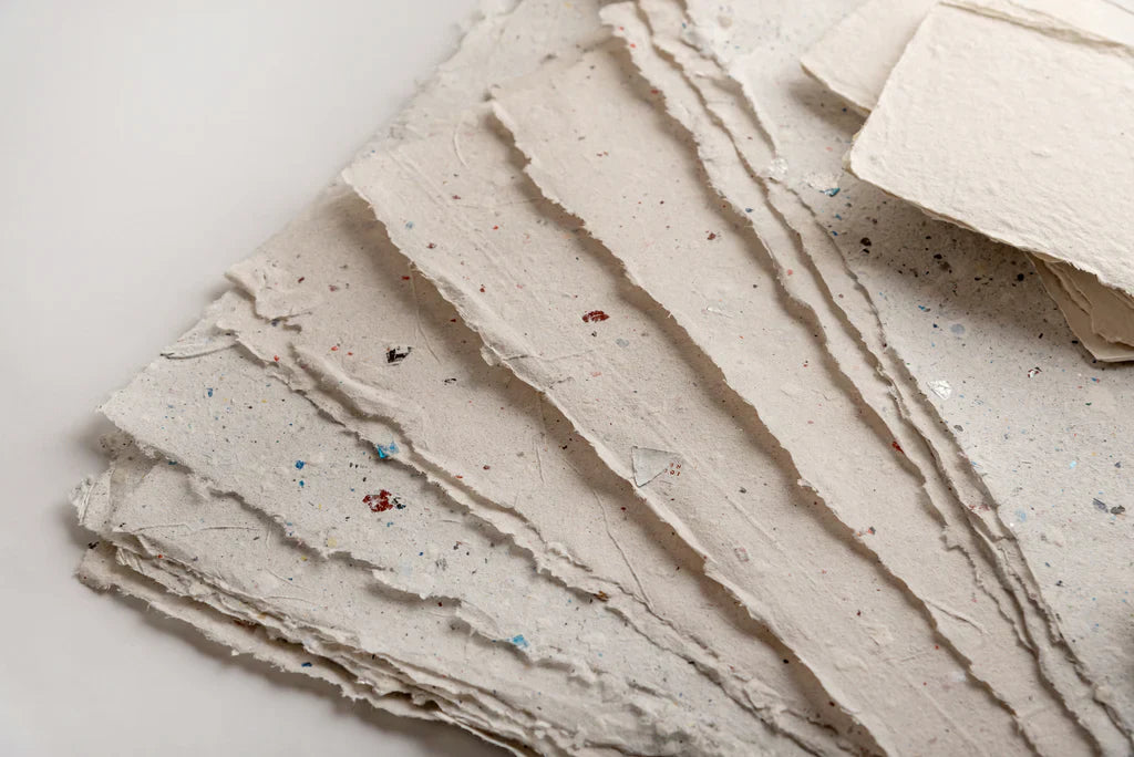 What Is Seed Paper? How Plantable Products Reduce Waste After Tet – EQUO
