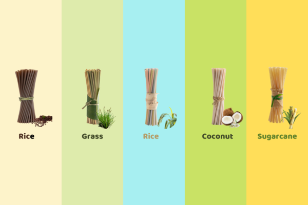 5 Best Ingredients To Make Biodegradable Straws