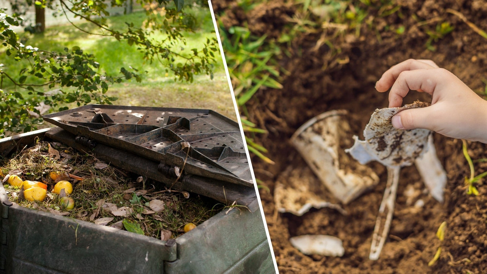Compostable vs. Biodegradable: What’s the Difference?