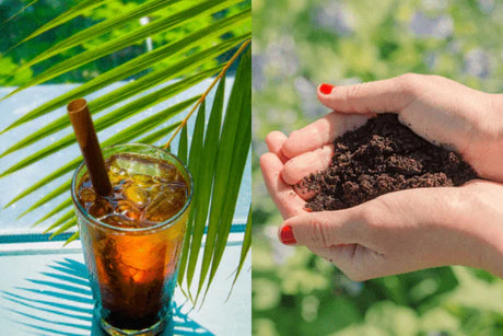 Coffee Ground Products: How Waste Coffee Becomes Useful Again