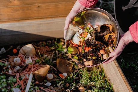 Biodegradable vs. Compostable: Stop the Greenwashing and Know the Difference