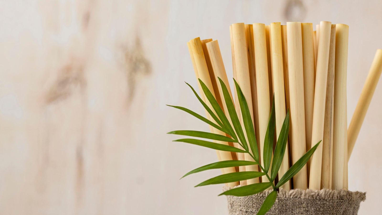 5 best compostable straws