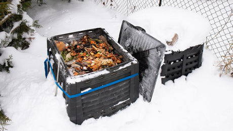 Composting During Winter: How to Keep the Habit Going