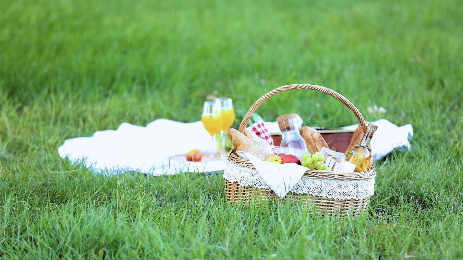 Mẹo Tổ Chức Picnic Mùa Thu Thân Thiện Với Môi Trường