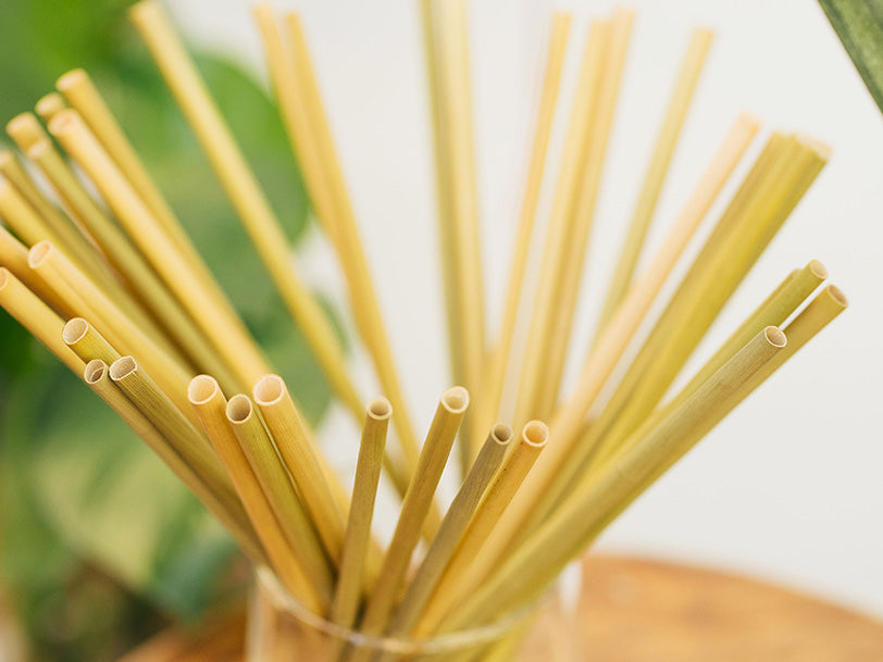 What Are Grass Straws? Why You Should Use Grass Straws | EQUO