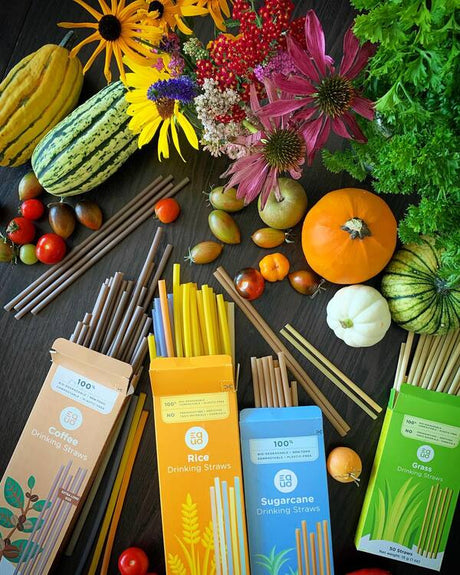 7 Best Eco-Friendly Organic Straws Made From Natural Materials