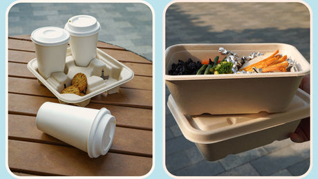 Beyond the Ban: How Businesses Can Thrive with Plastic-Free Solutions