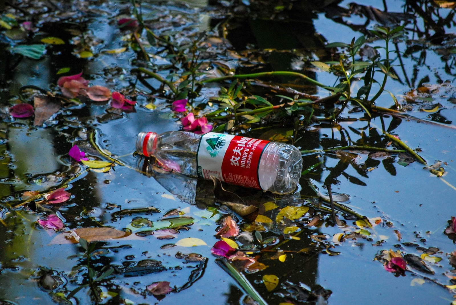 Biodegradable vs. Plastic Utensils – 5 Reasons to Switch in 2025