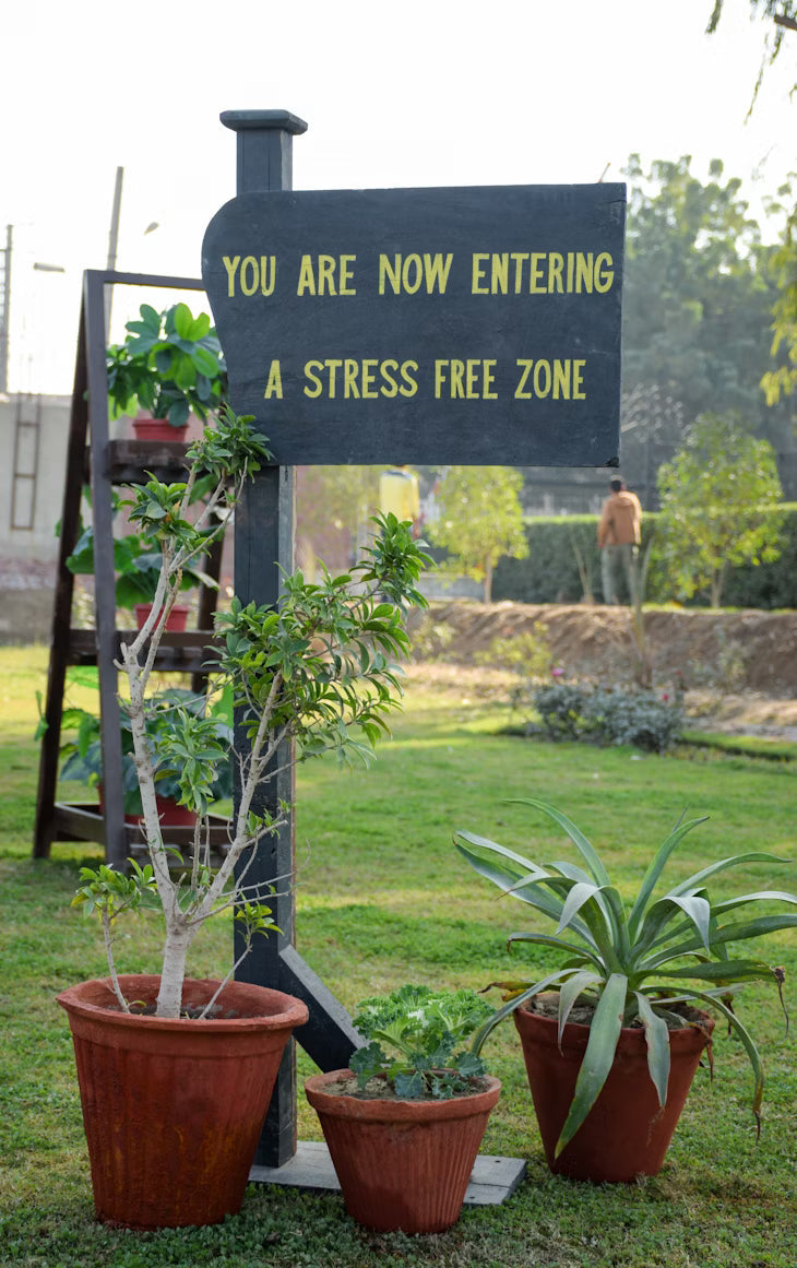 5 Eco-Friendly Lifestyle Trends to Watch in 2025