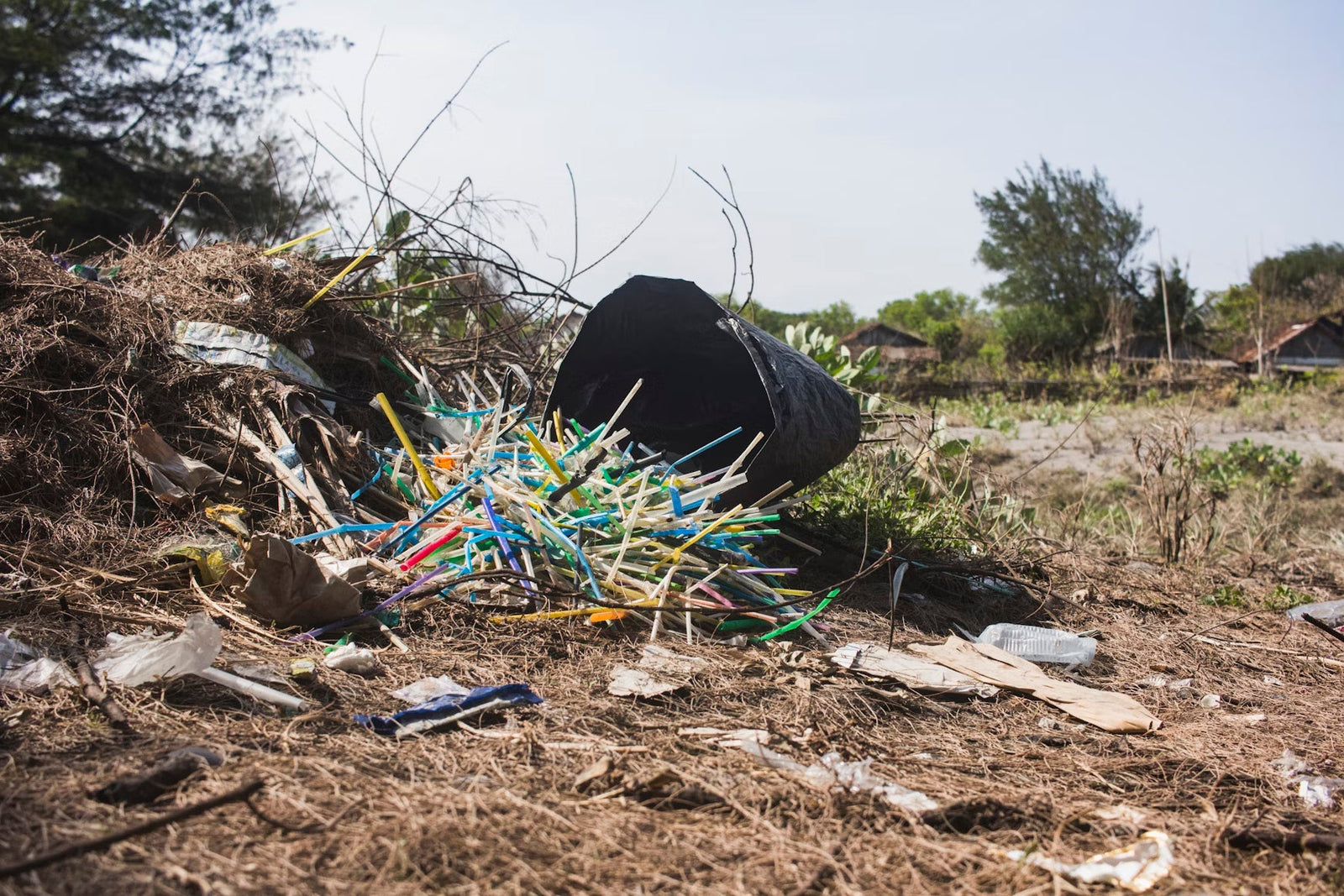 No More Plastic Straws: The Rise of Reusable and Compostable Straws in 2025