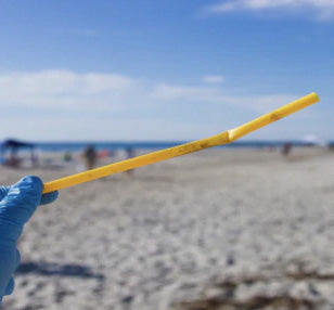 What’s So Wrong With Plastic Straws? Exploring Their Disadvantages