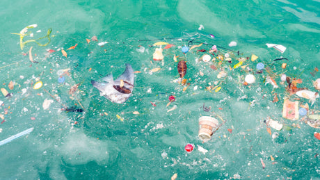 How Does Plastic Affect the Ocean?