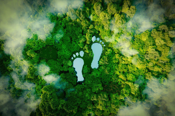 Best Ways To Easily Reduce Your Carbon Footprint