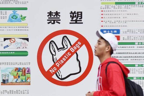 Why Plastic Bans are Gaining Global Momentum (and What's Next)