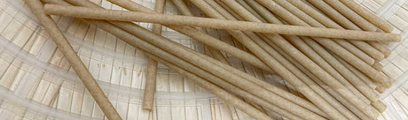 Sugarcane & Coffee Straws: The Smarter Alternative to Plastic Straws