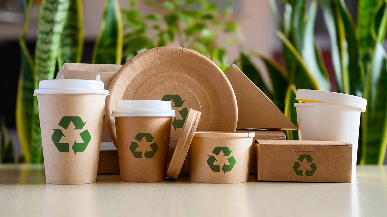 Understanding the Life Cycle of Compostable Products: From Production to Decomposition