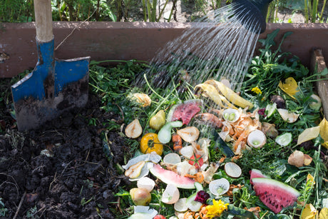The "After-Party" Cleanup: A Lazy Person’s Guide to Composting