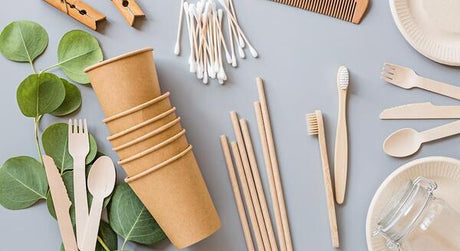 what are biodegradable straws made of
