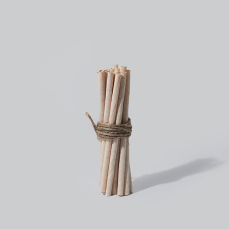 Coconut Drinking Straws - EQUO