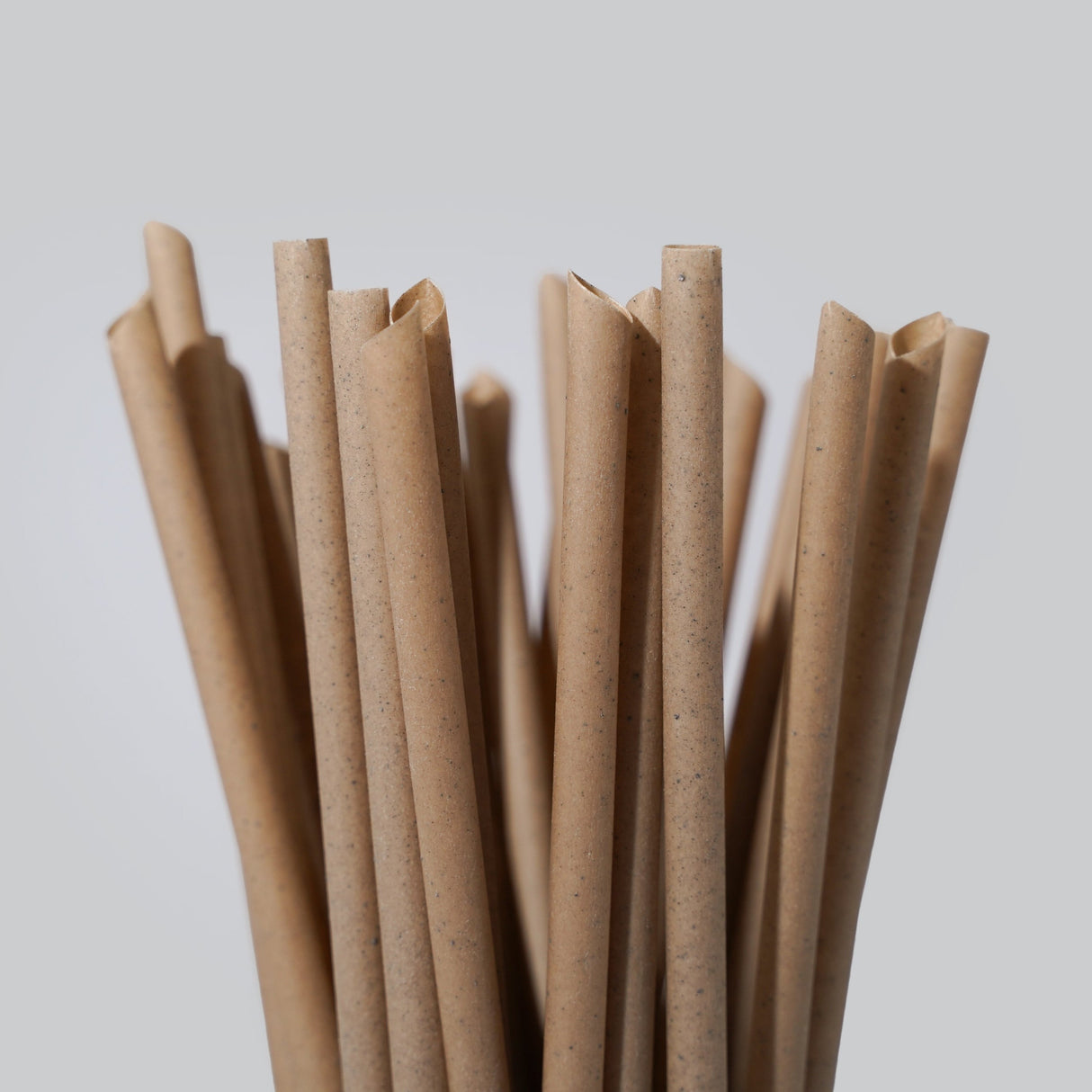 Coffee Drinking Straws - EQUO