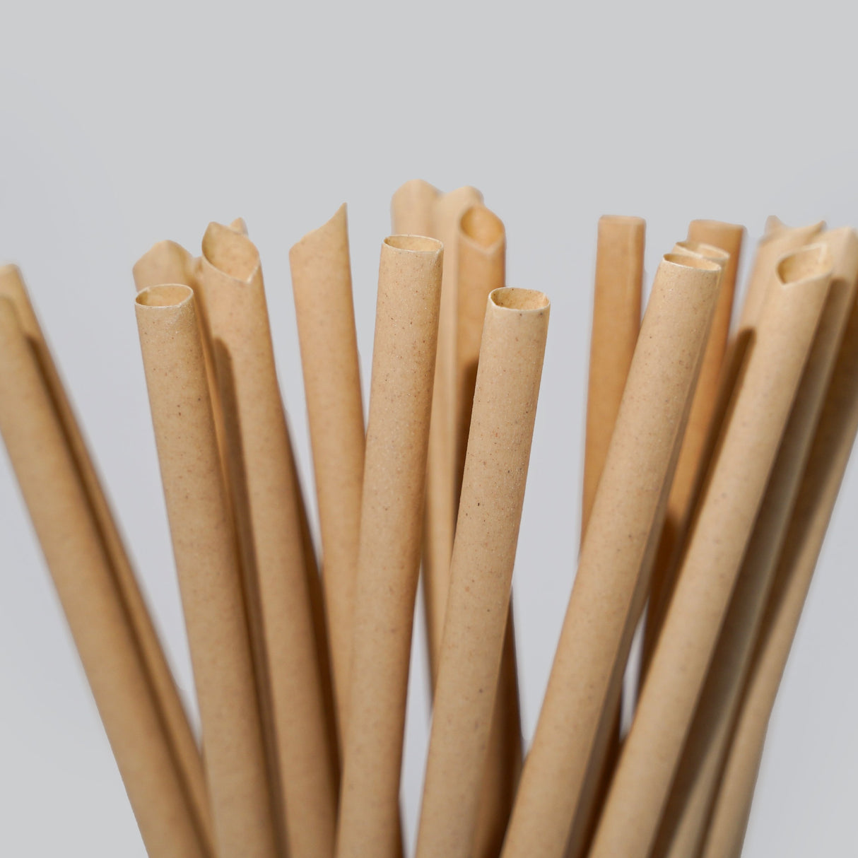 Sugarcane Drinking Straws - EQUO