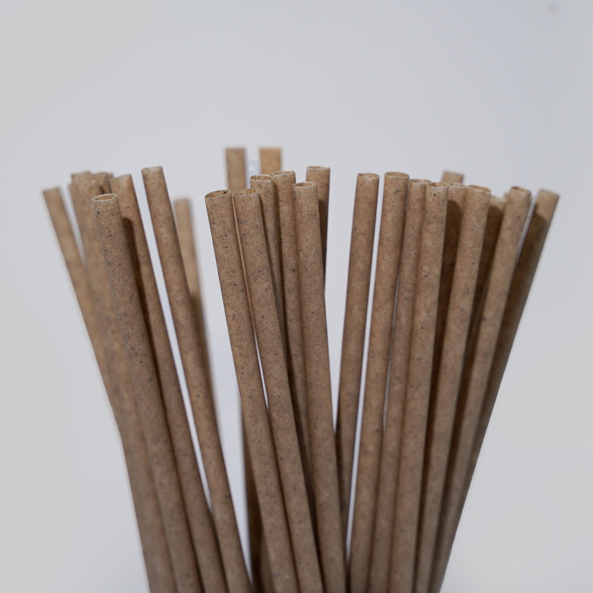 Coffee Drinking Straws - EQUO