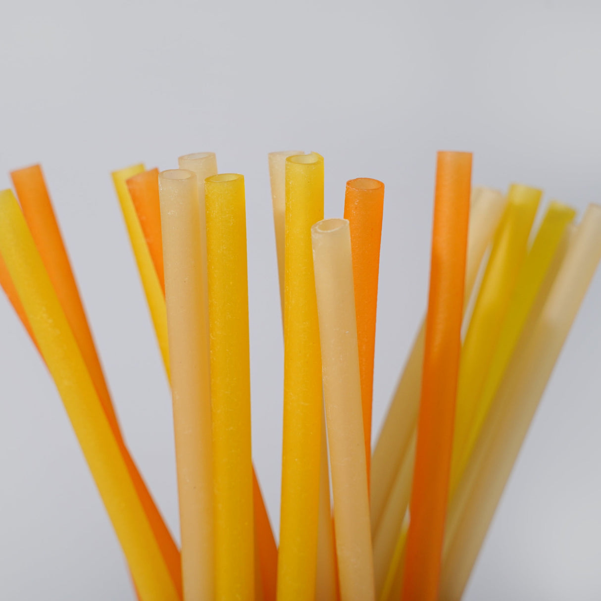 Rice Drinking Straws - EQUO